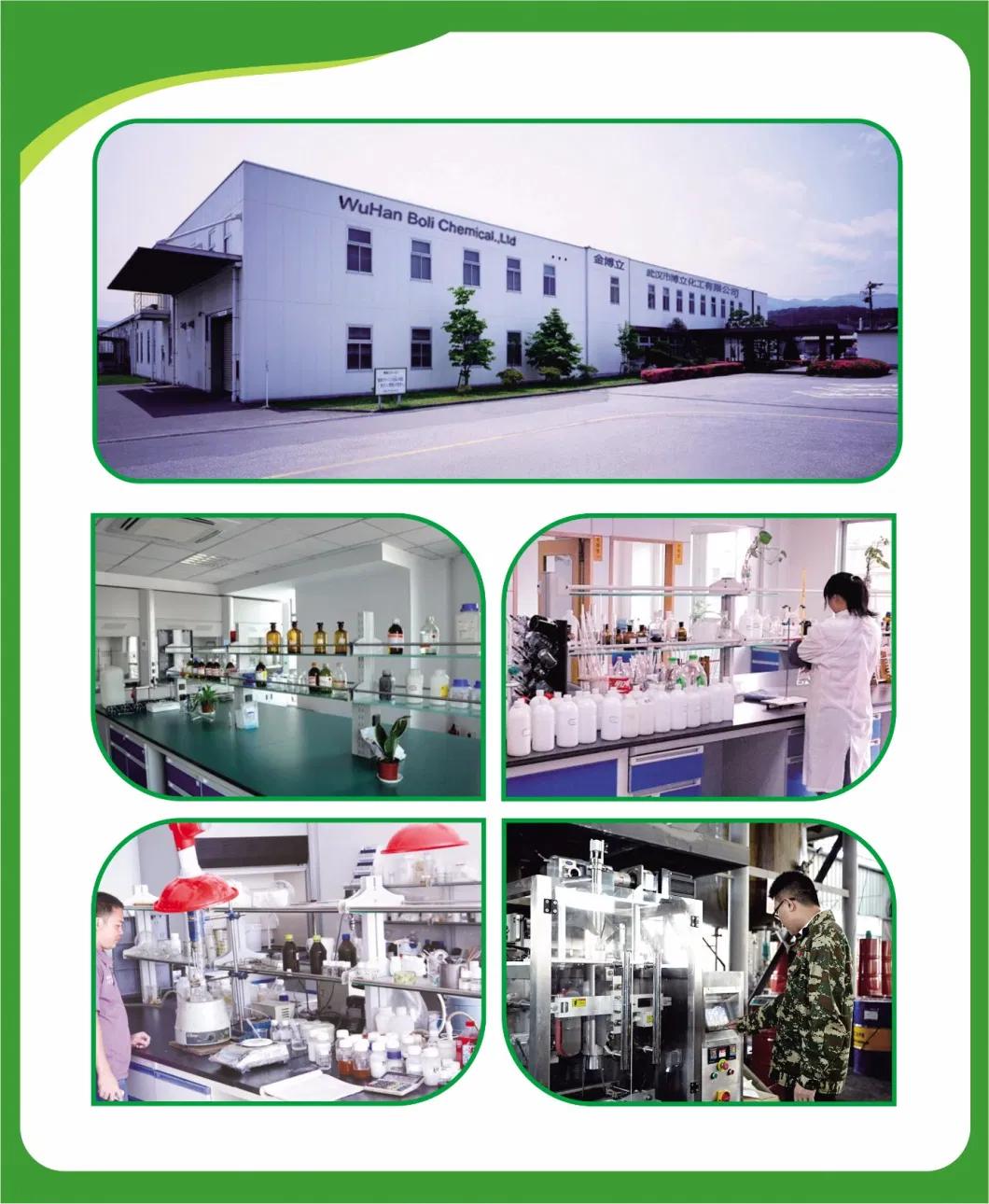 Best Price China Supplier Non-Toxic No Pollution Wallpaper Glue Powder